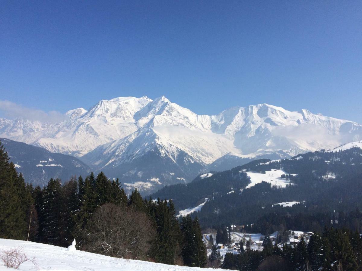 Appartement T2+Cabine Independante Au Depart Des Telecabines Saint-Gervais/Bettex/Mont D'Arbois エクステリア 写真